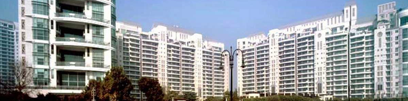 DLF Aralias