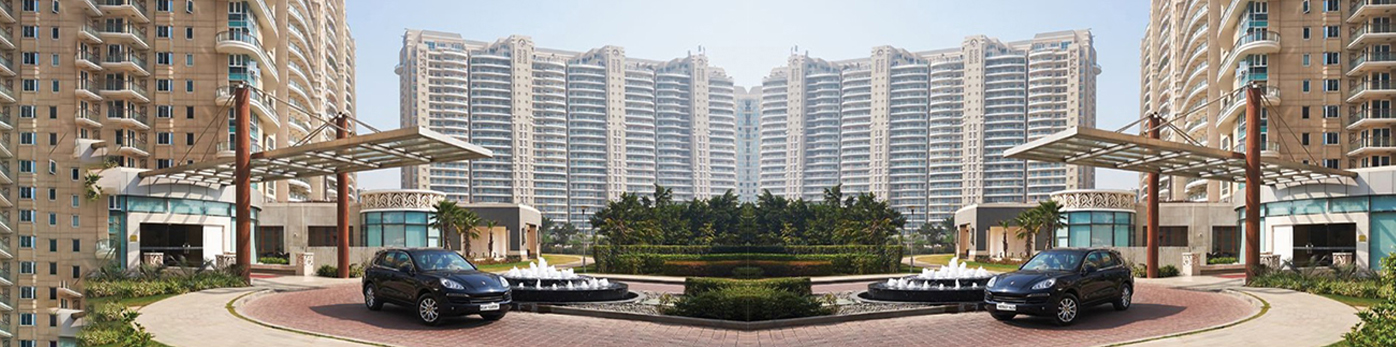 DLF Magnolias